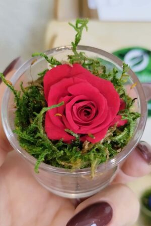 Bomboniera con Rosellina Rossa