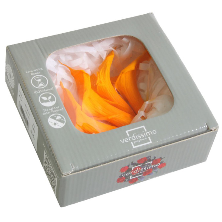 Box Calla gialla mini - immagine 2