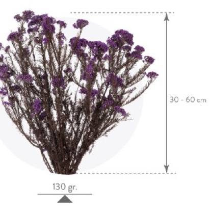 Helychrisium Diosmi Natural - immagine 2