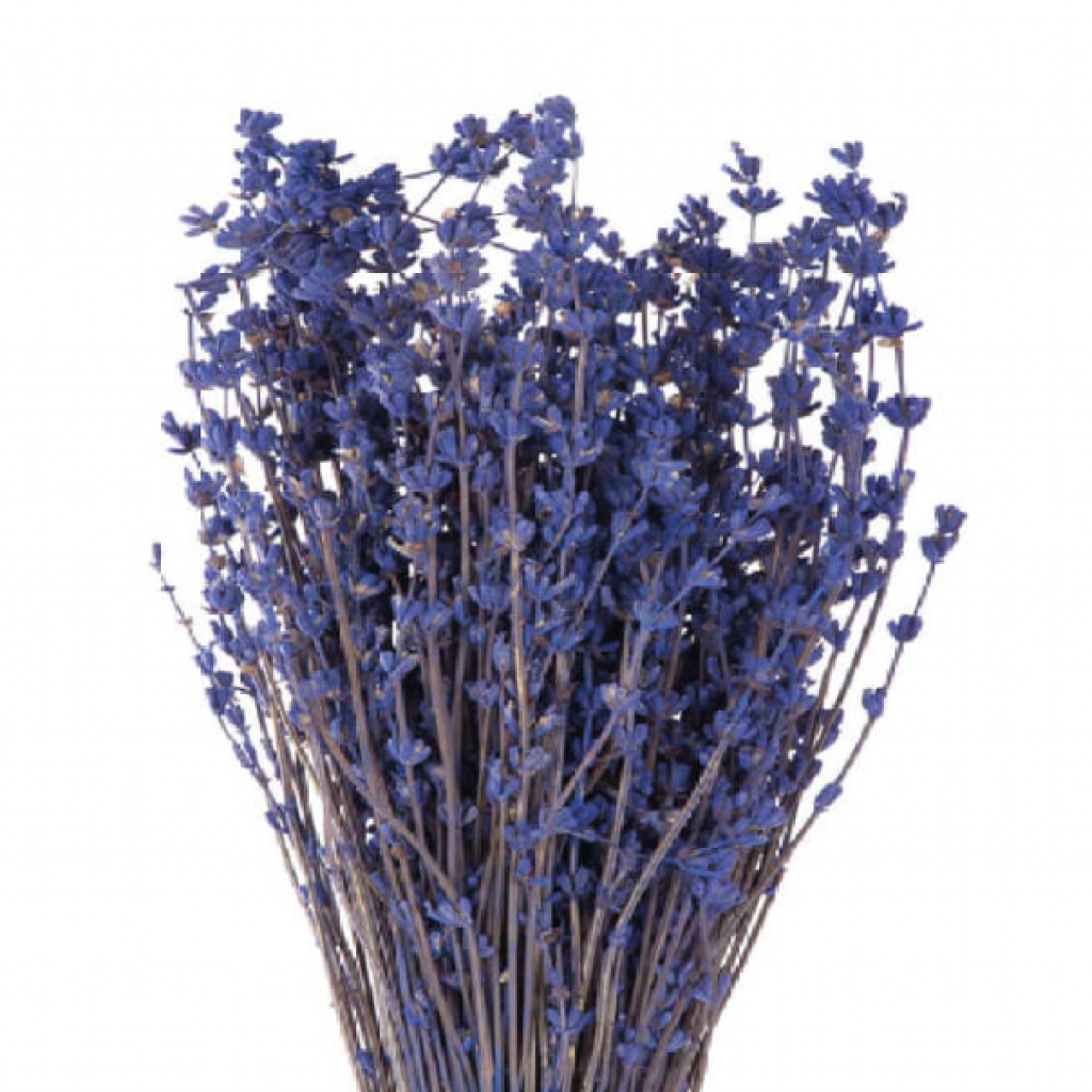 Lavanda viola stabilizzata