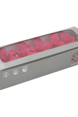 Box Orchidea stabilizzata fucsia
