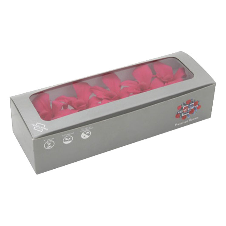 Box Orchidea stabilizzata fucsia