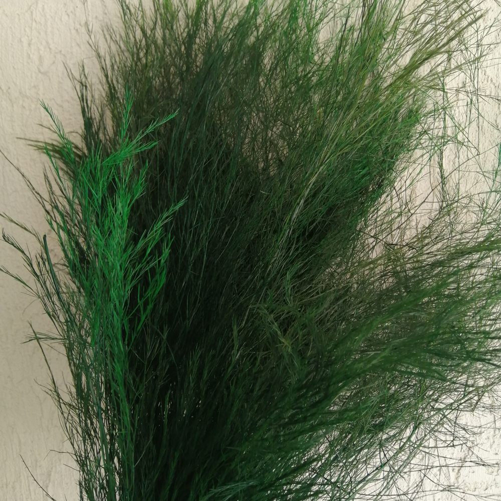 Tiki Verde