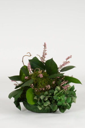Centrotavola Kokedama
