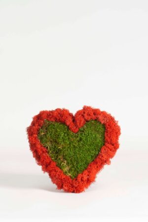 Cuore lichene rosso e muschio