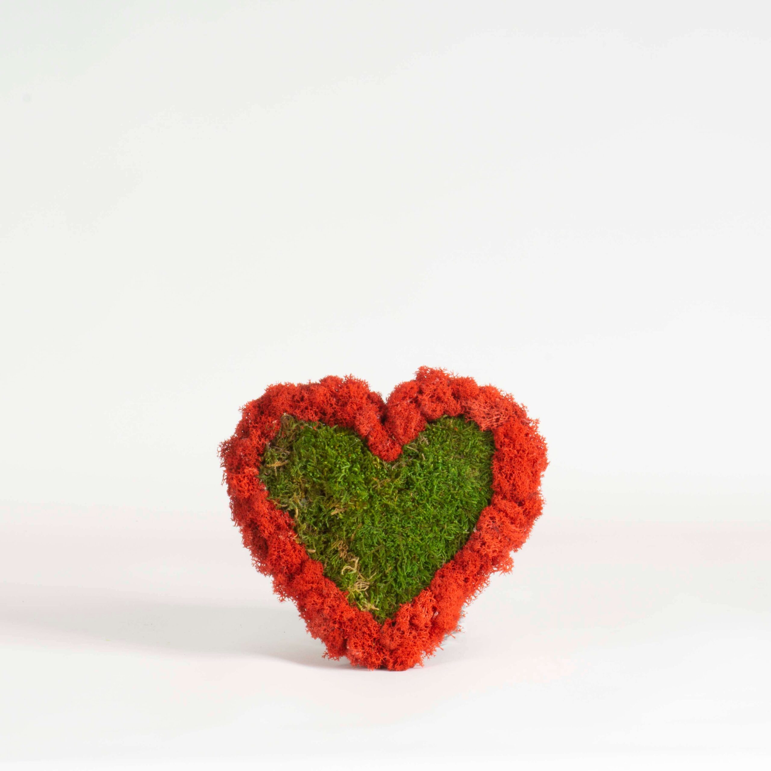 Cuore lichene rosso e muschio
