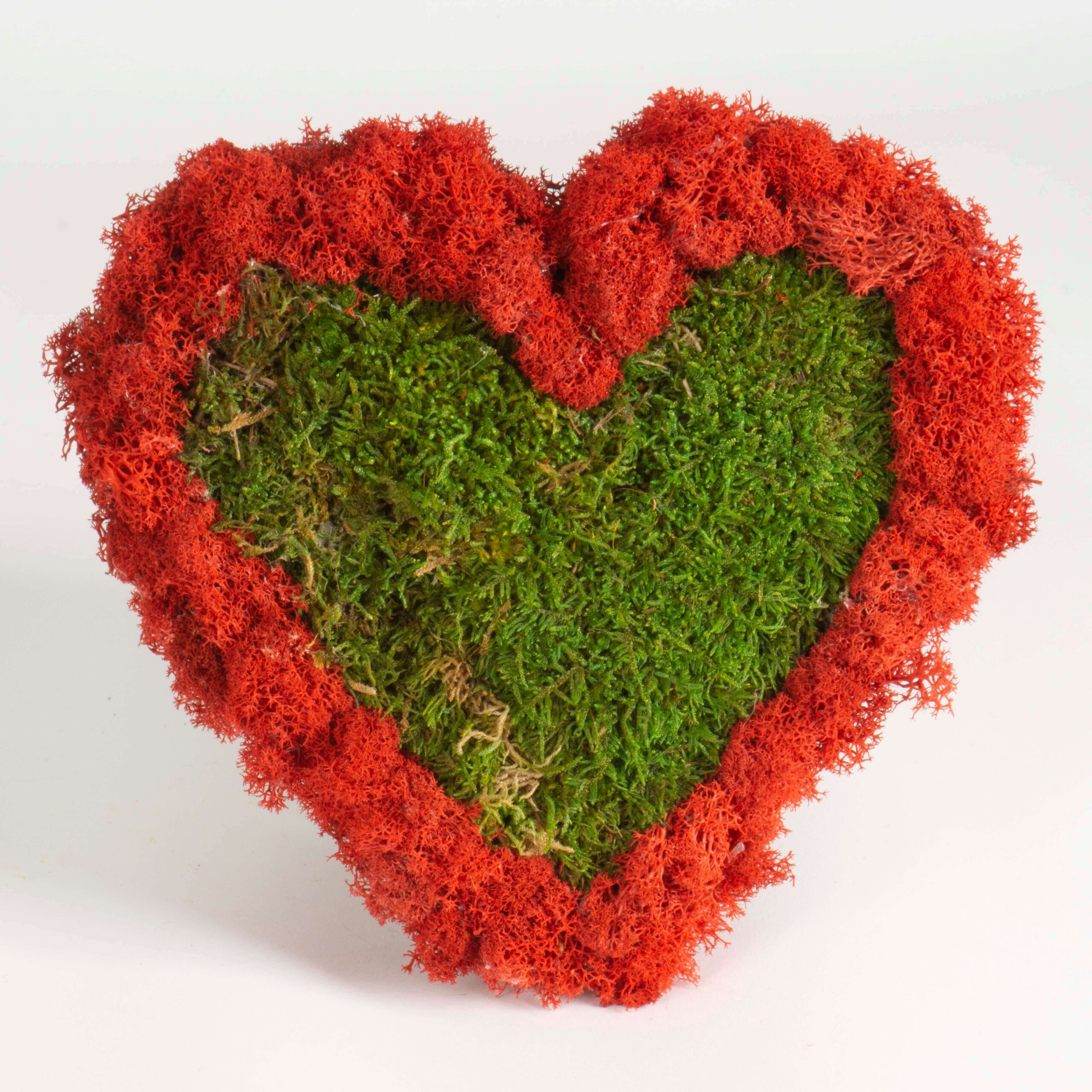 Cuore lichene rosso e muschio - immagine 2