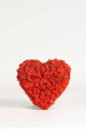 Cuore di lichene rosso