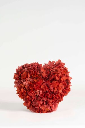 Cuore di Ortensie