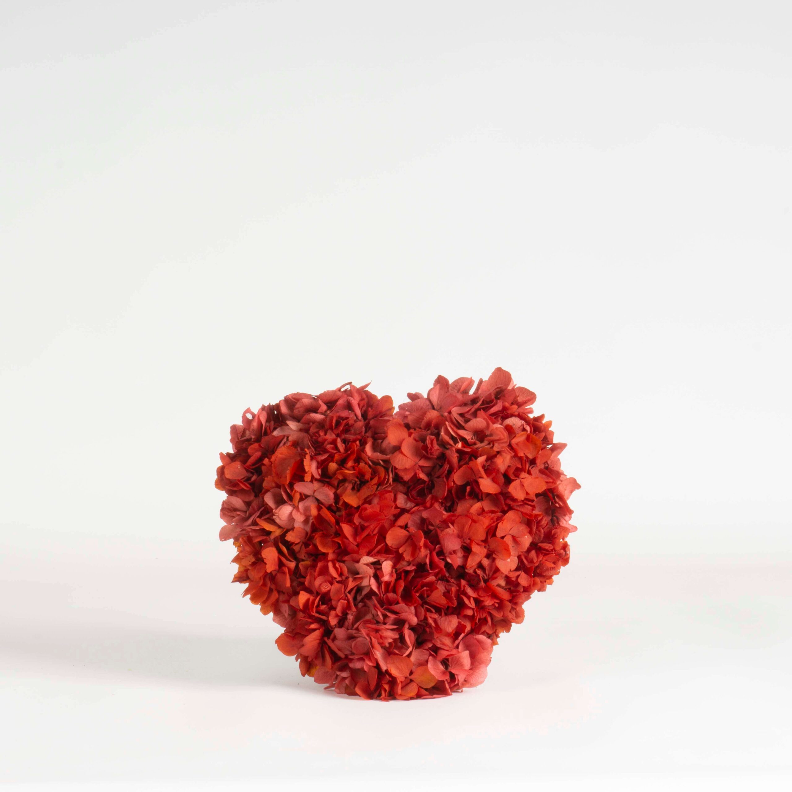 Cuore di Ortensie