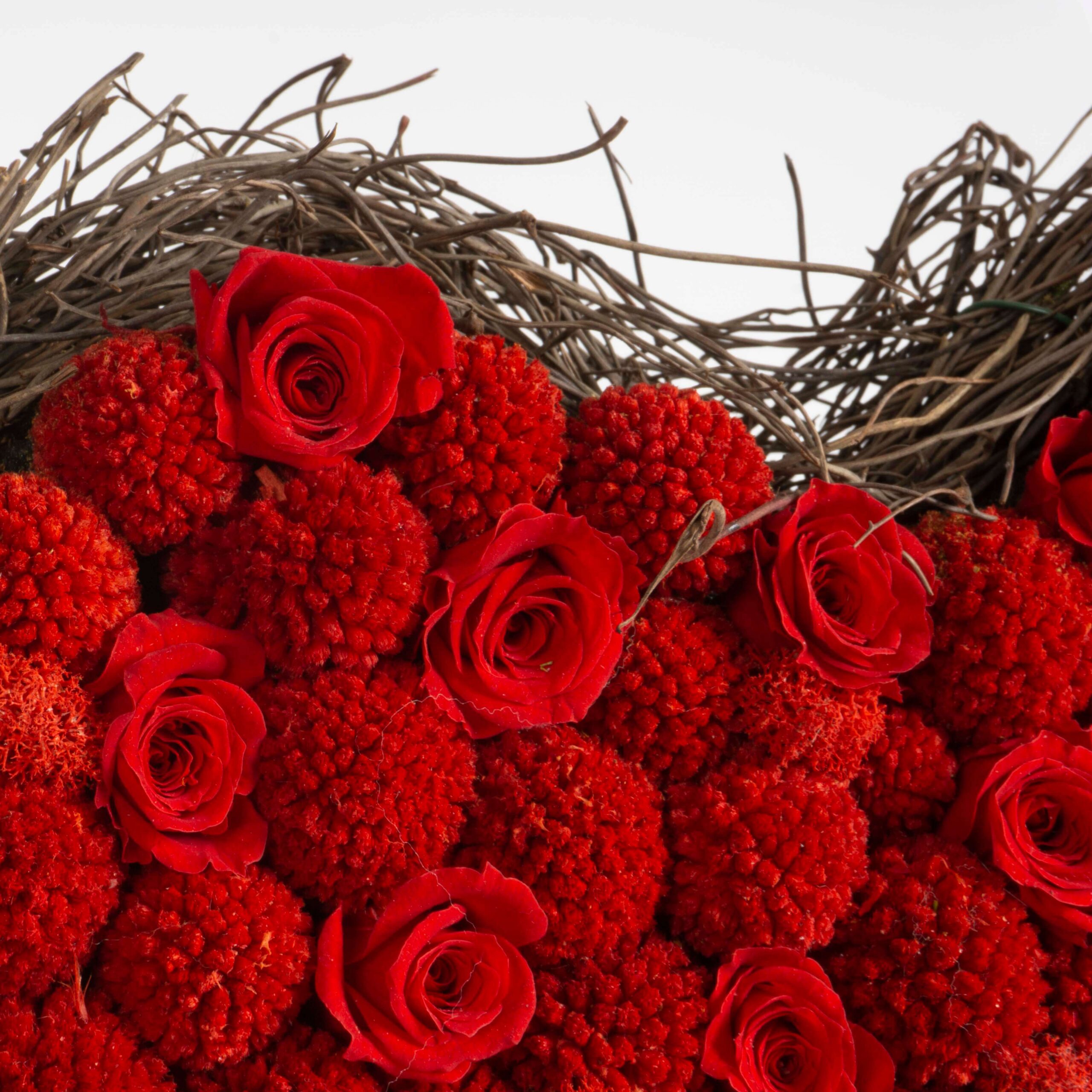 Cuore di Rose e Craspedia - immagine 3