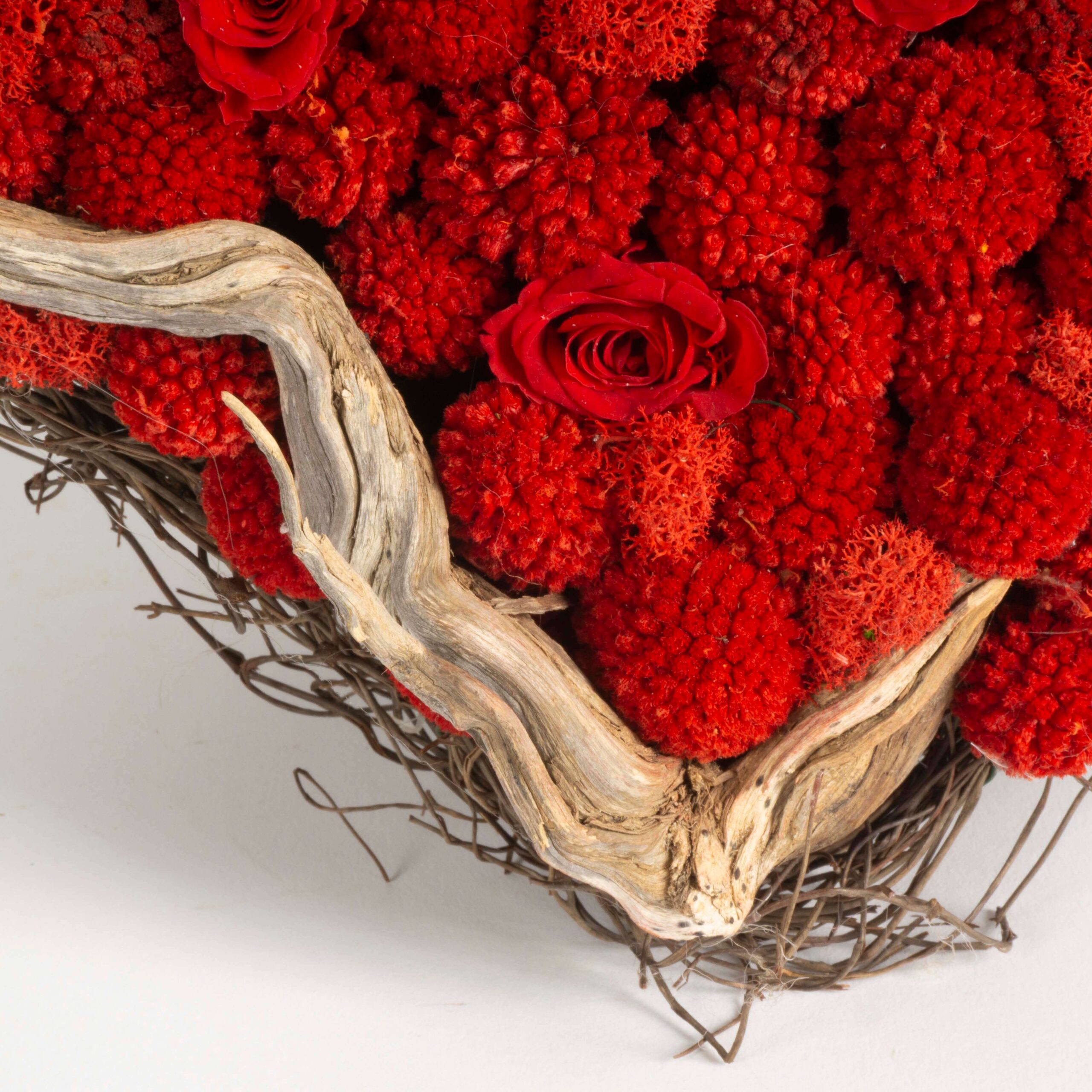 Cuore di Rose e Craspedia - immagine 4