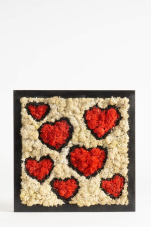 Quadro Cuoricini di lichene