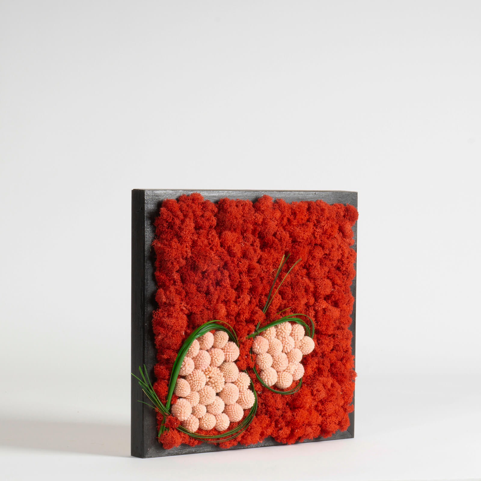 Quadro Lichene e Craspedia - immagine 2