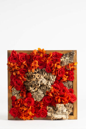 Quadro Rose e Craspedia