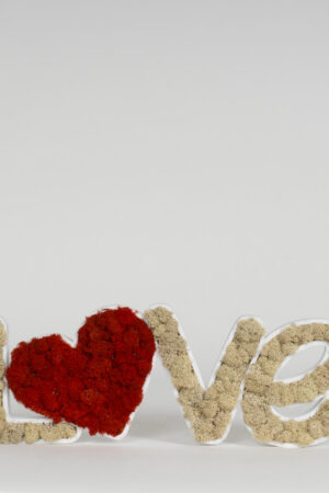 Scritta LOVE lichene stabilizzato