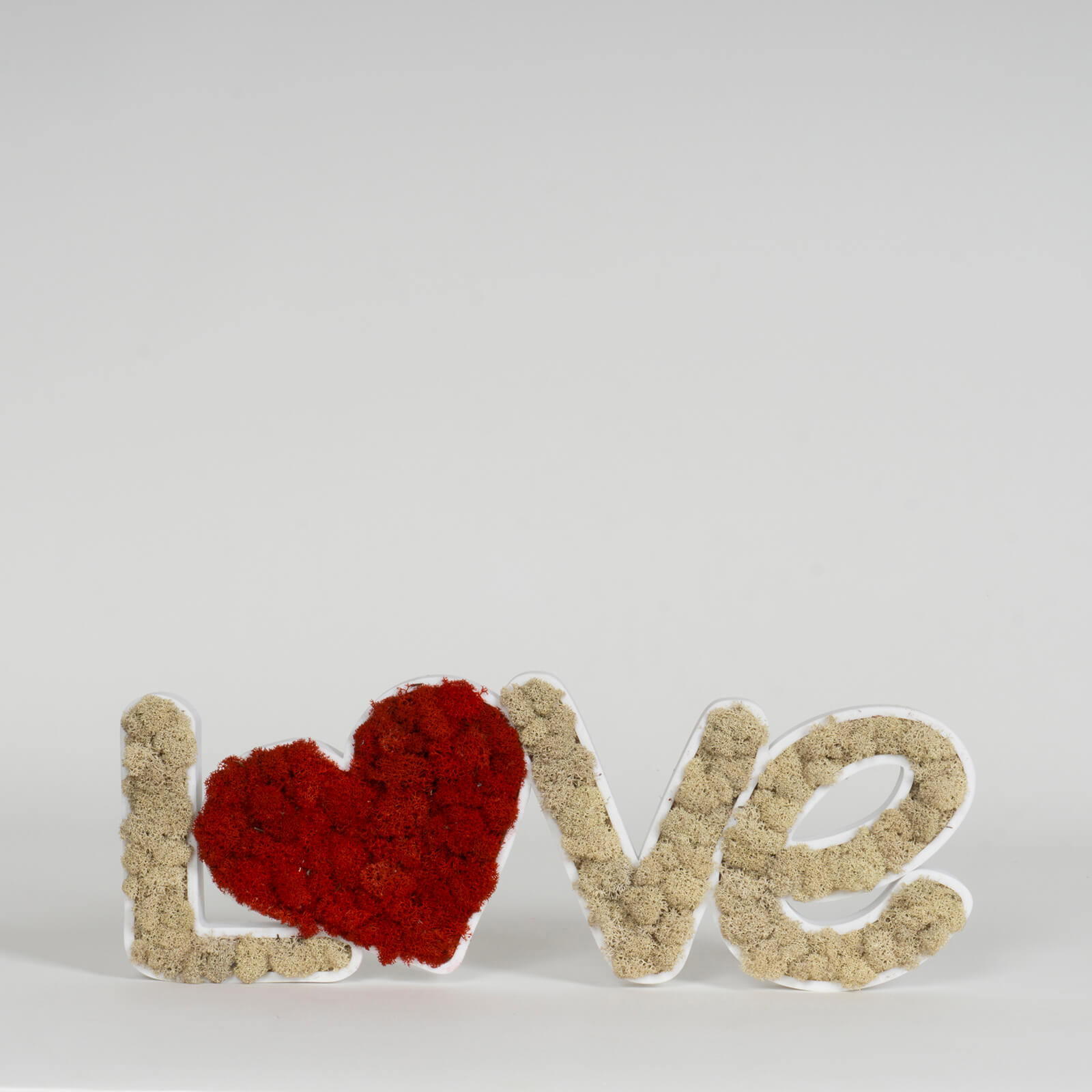 Scritta LOVE lichene stabilizzato
