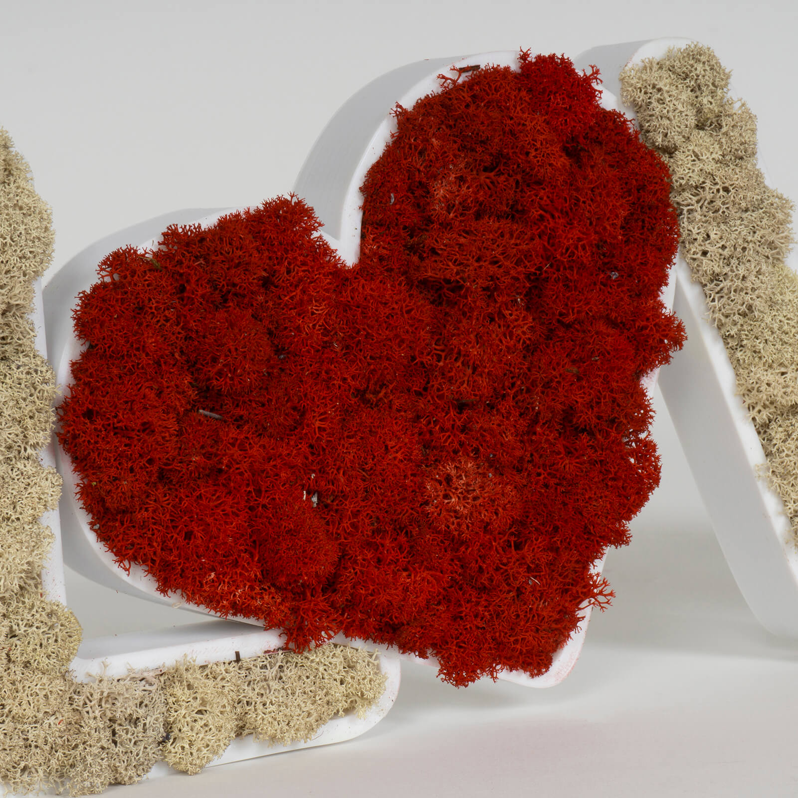 Scritta LOVE lichene stabilizzato - immagine 4