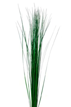 Steel Grass