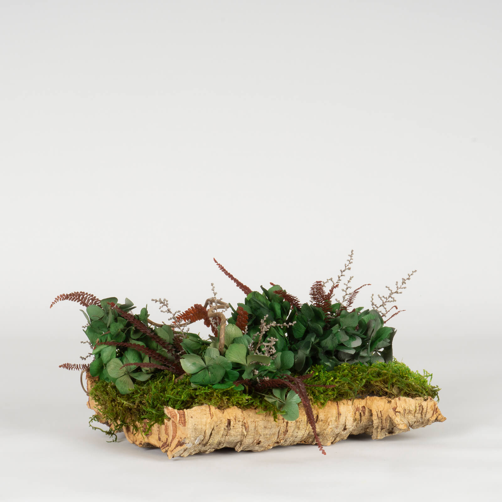 Tronchetto di primavera