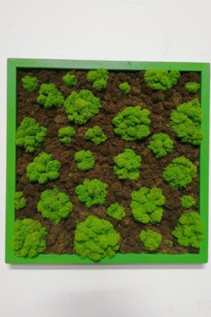 Attacchi d'arte moss design 2
