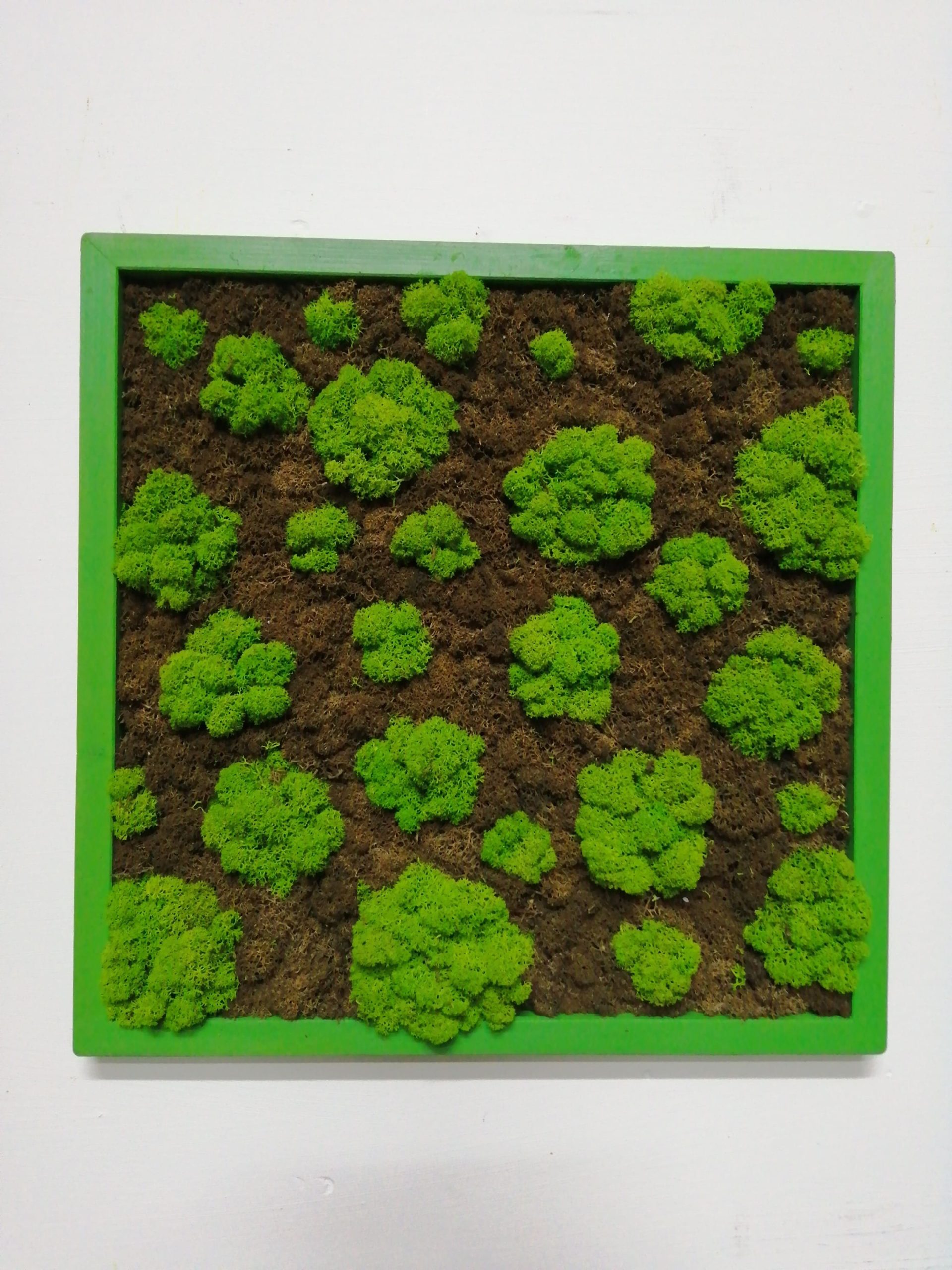 Attacchi d'arte moss design 2