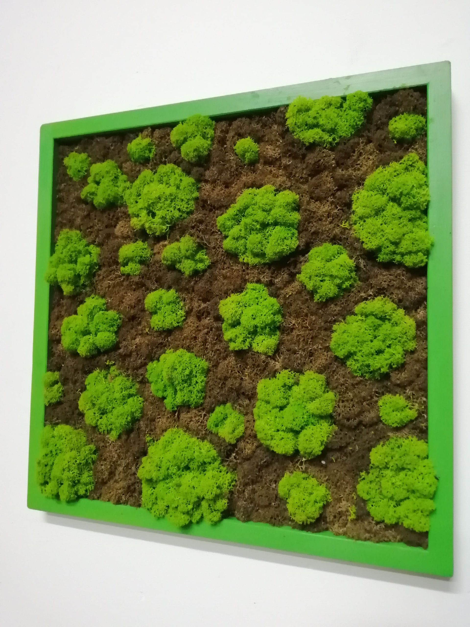 Attacchi d'arte moss design 2 - immagine 2