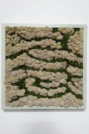 Attacchi d'arte moss design 3