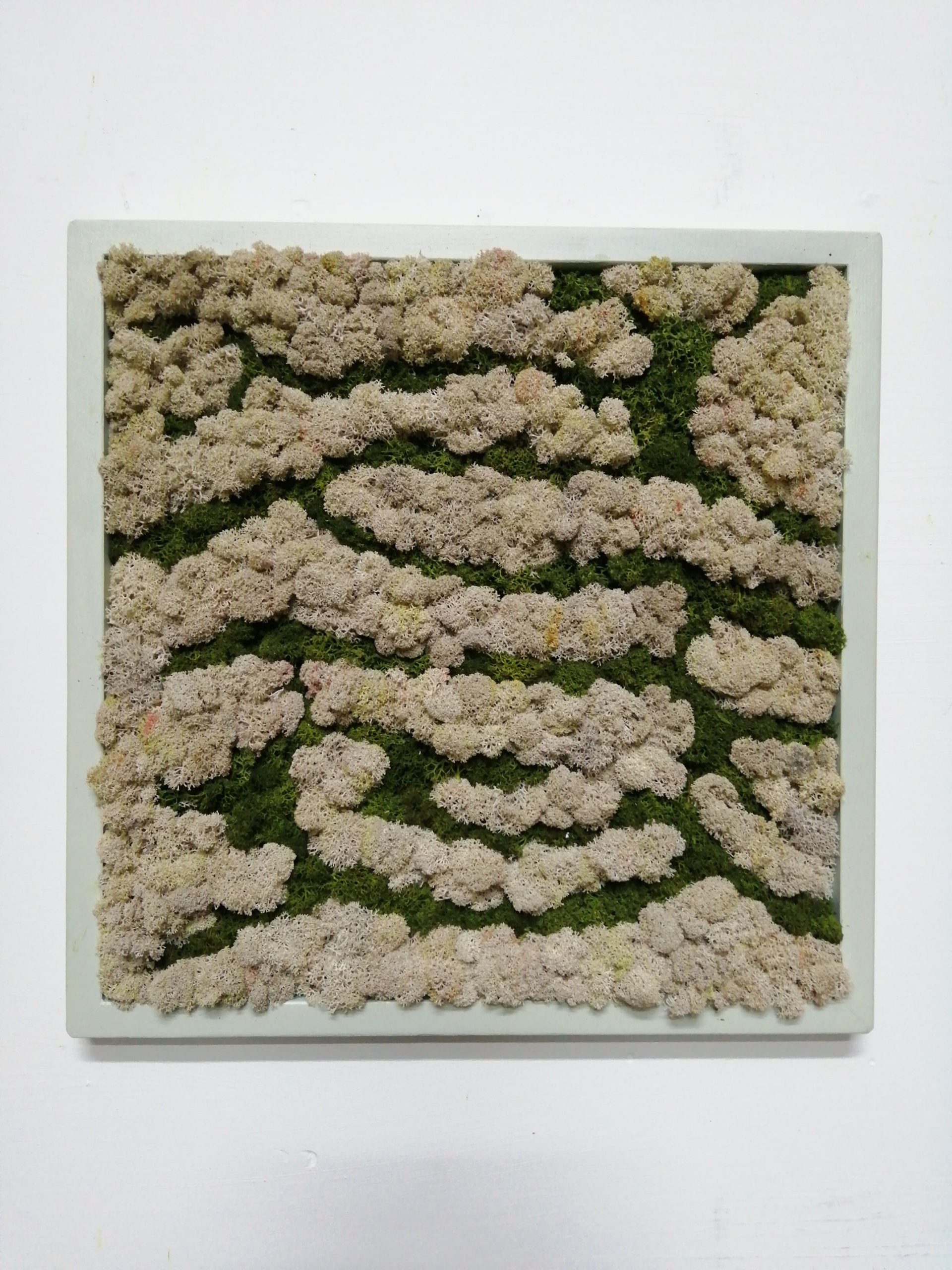 Attacchi d'arte moss design 3