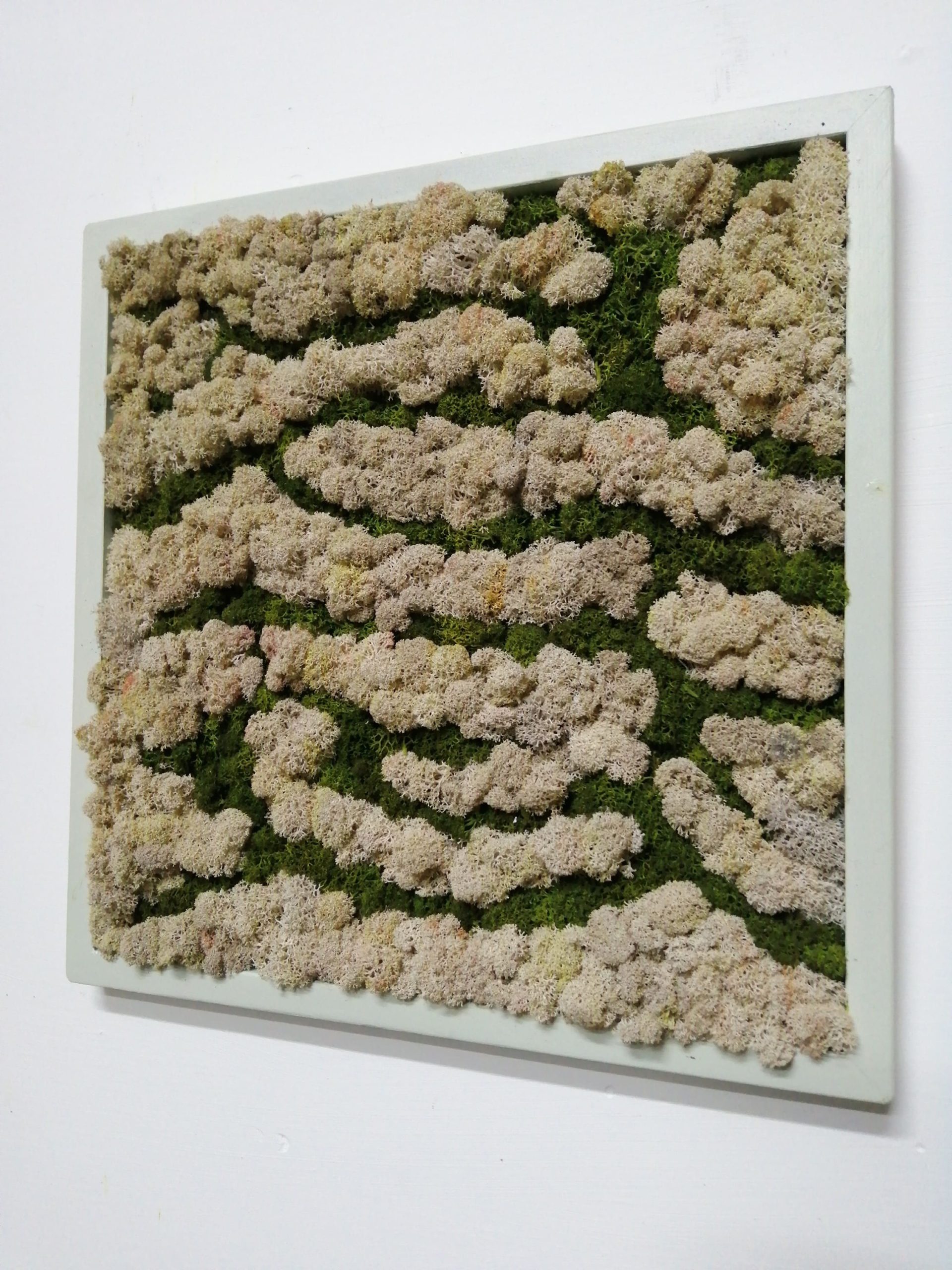 Attacchi d'arte moss design 3 - immagine 2