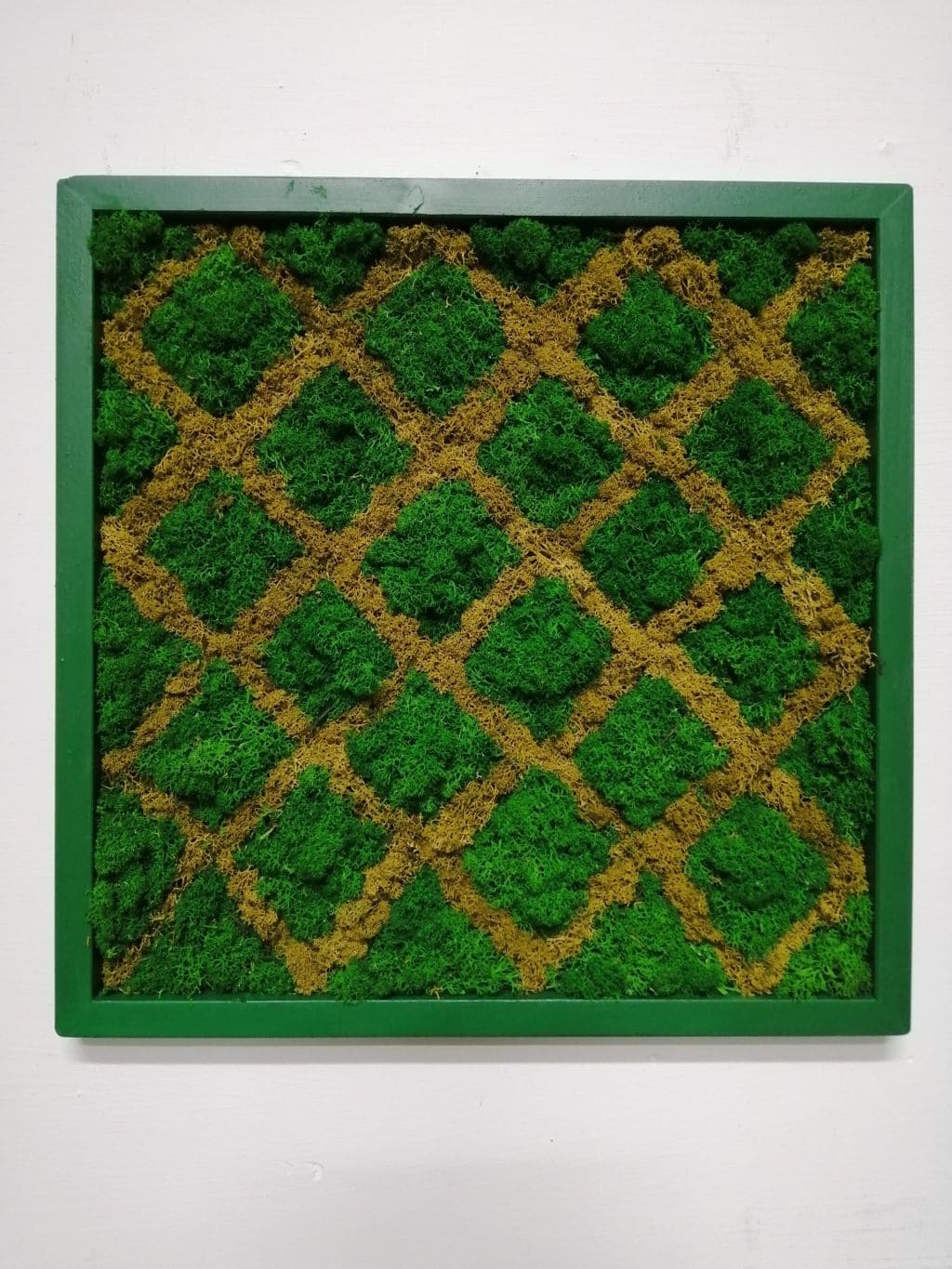 Attacchi d'arte moss design 4