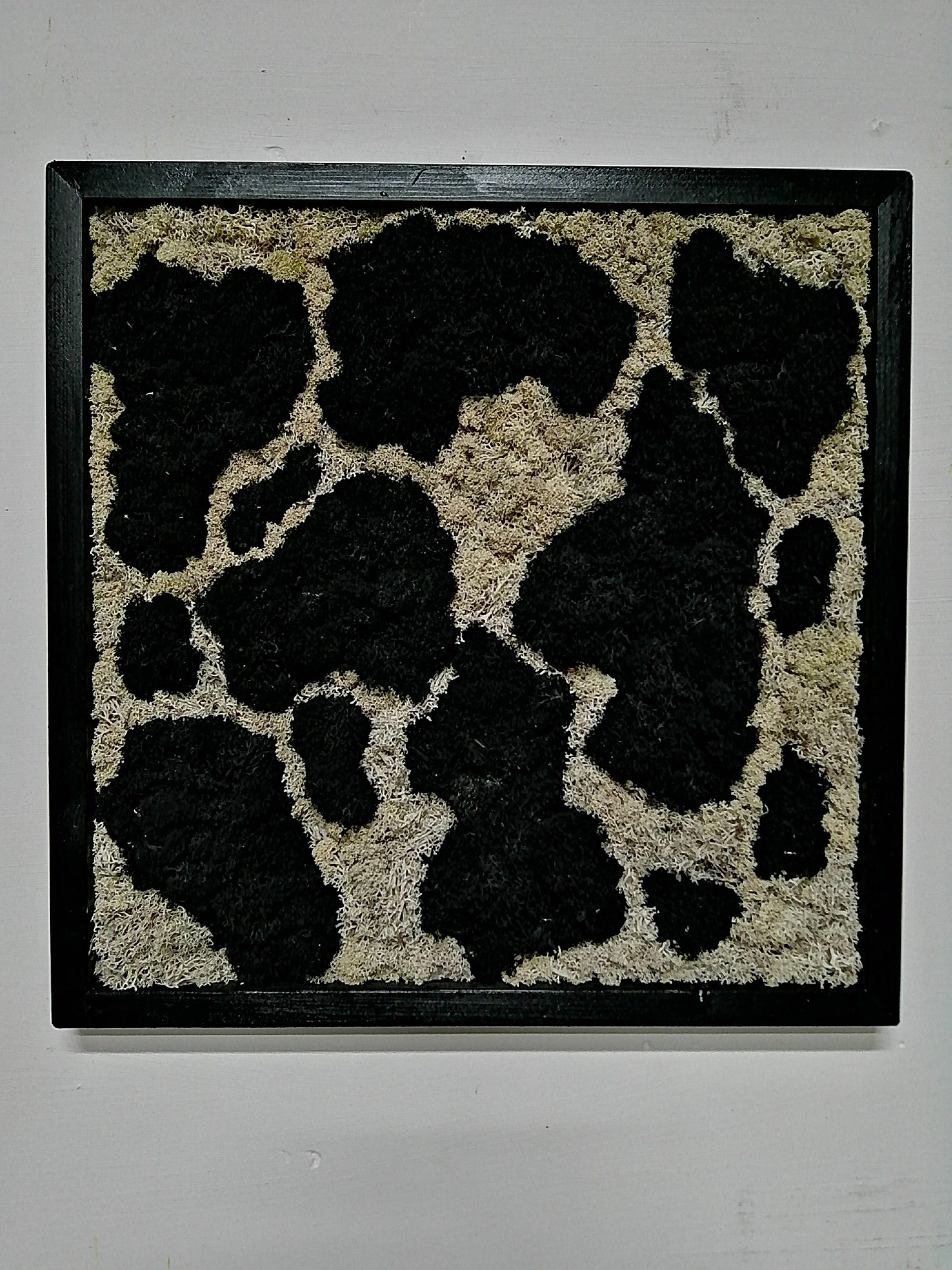Attacchi d'arte moss design 5