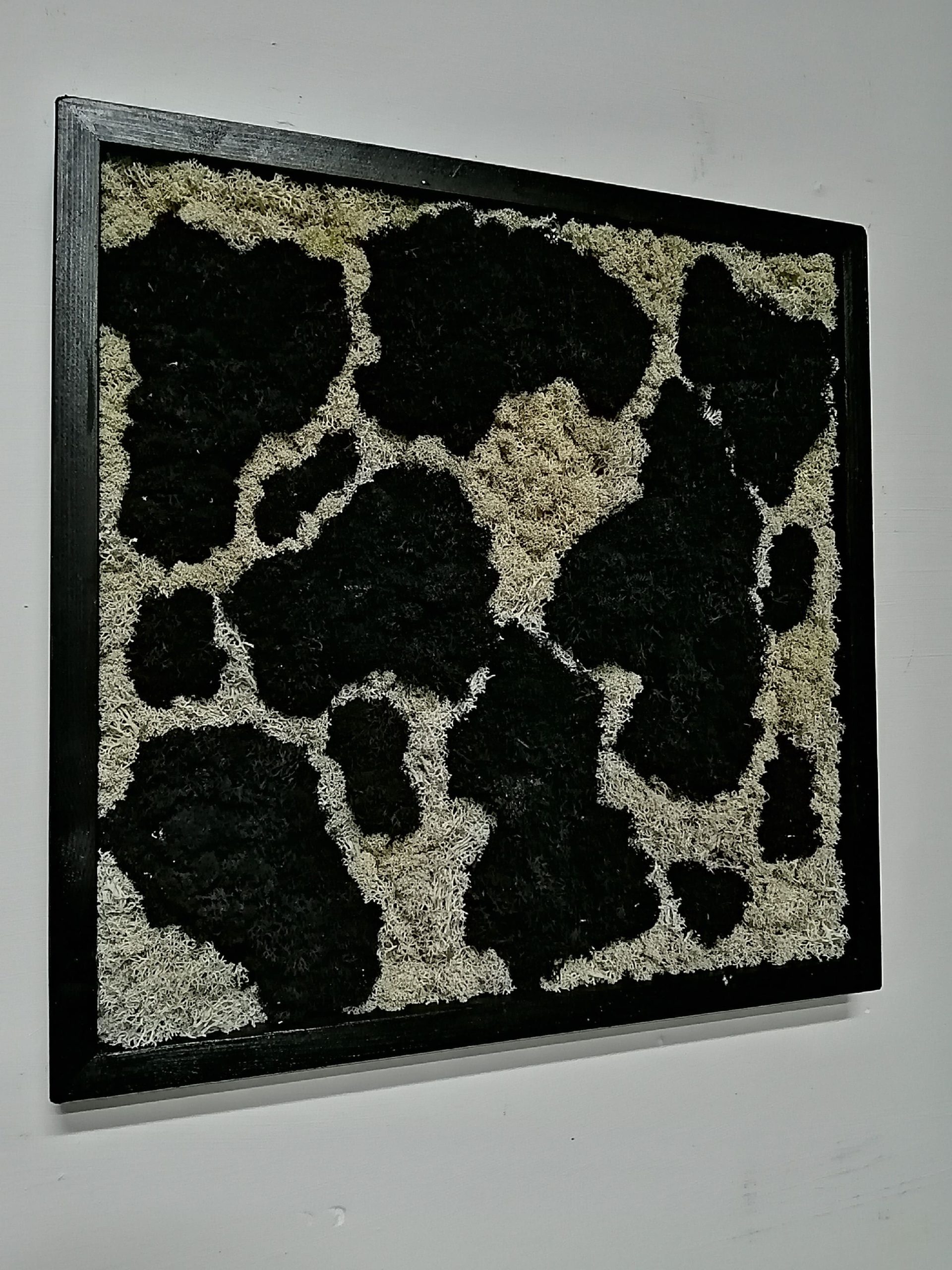Attacchi d'arte moss design 5 - immagine 2