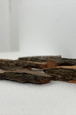 Corteccia di Pino