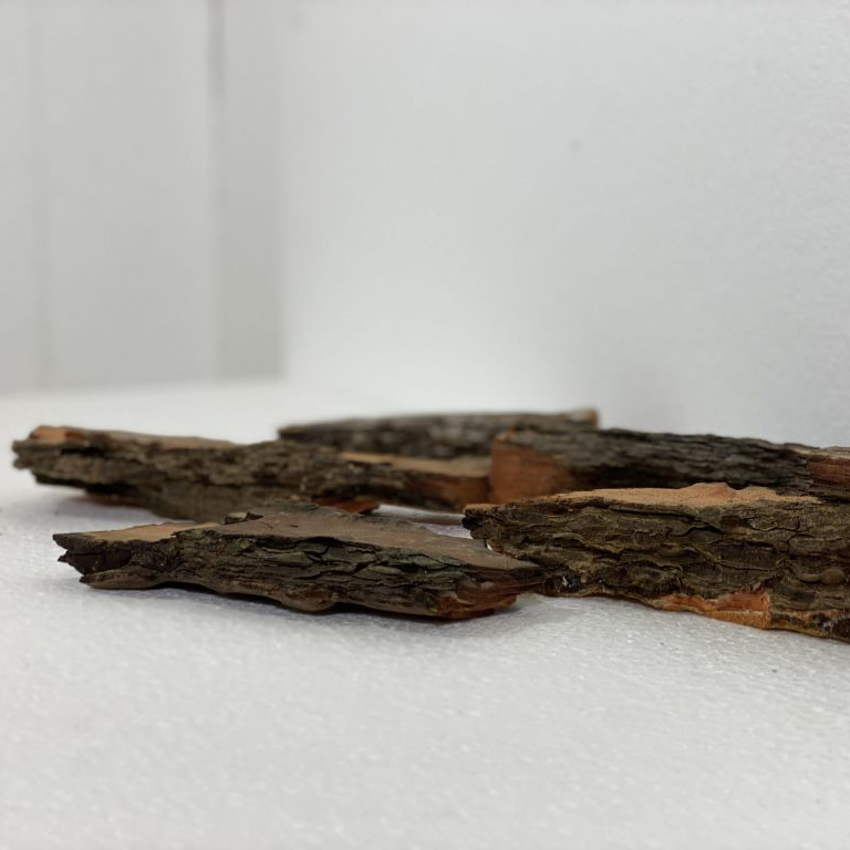Corteccia di Pino
