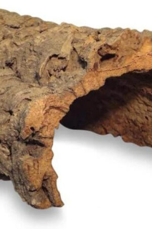 Corteccia di Sughero