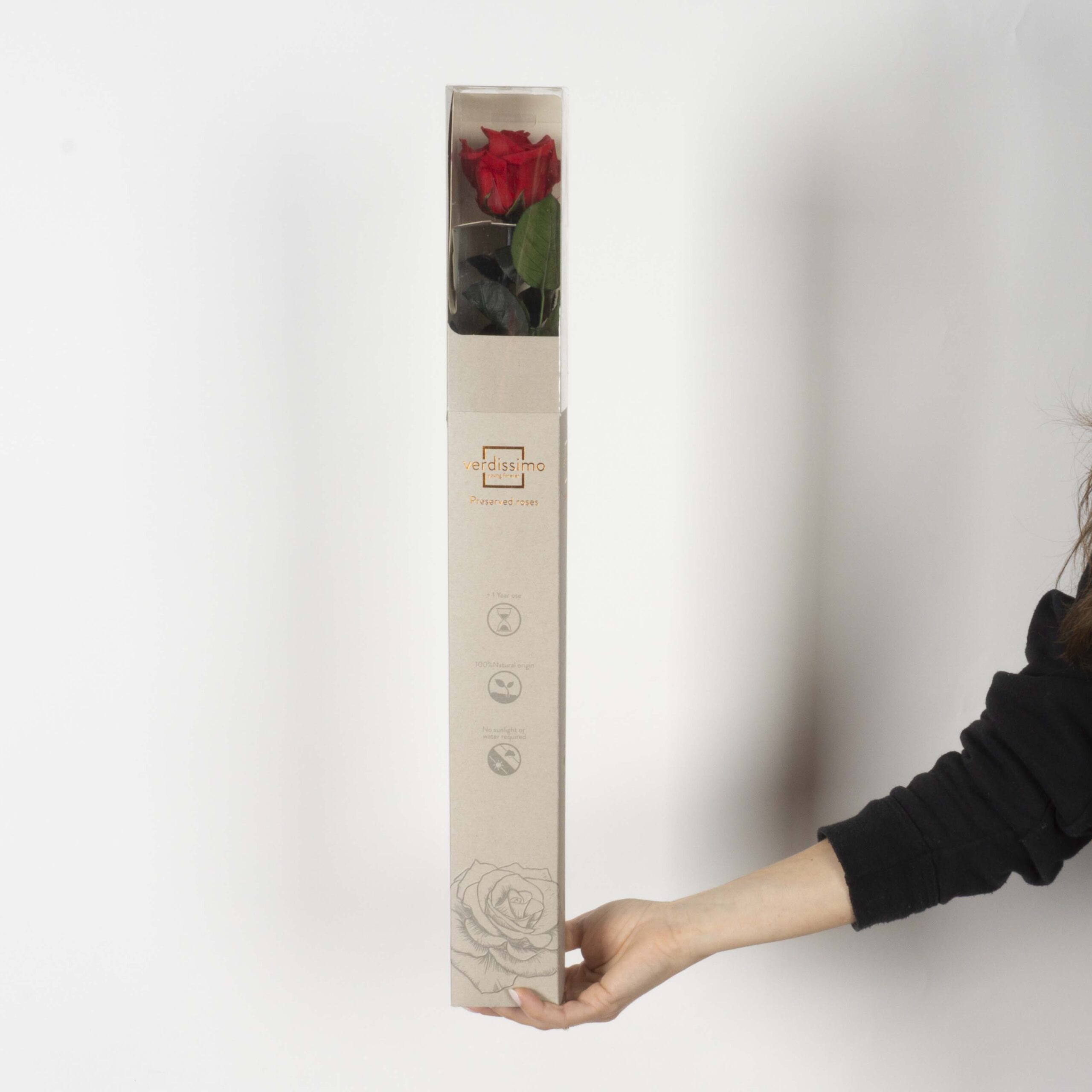 Rosa con stelo rossa - immagine 2