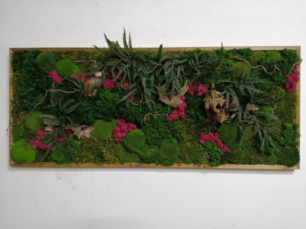 Foresta di muschi e lichene