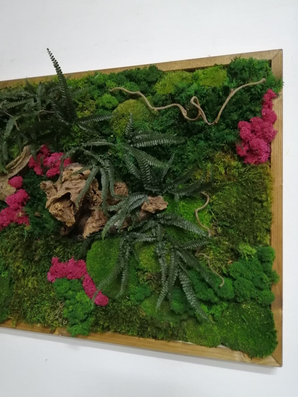 Foresta di muschi e lichene - immagine 2