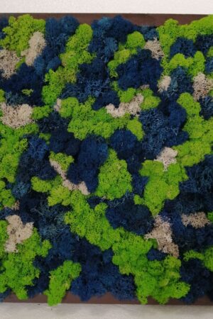 Quadro Lichene mix