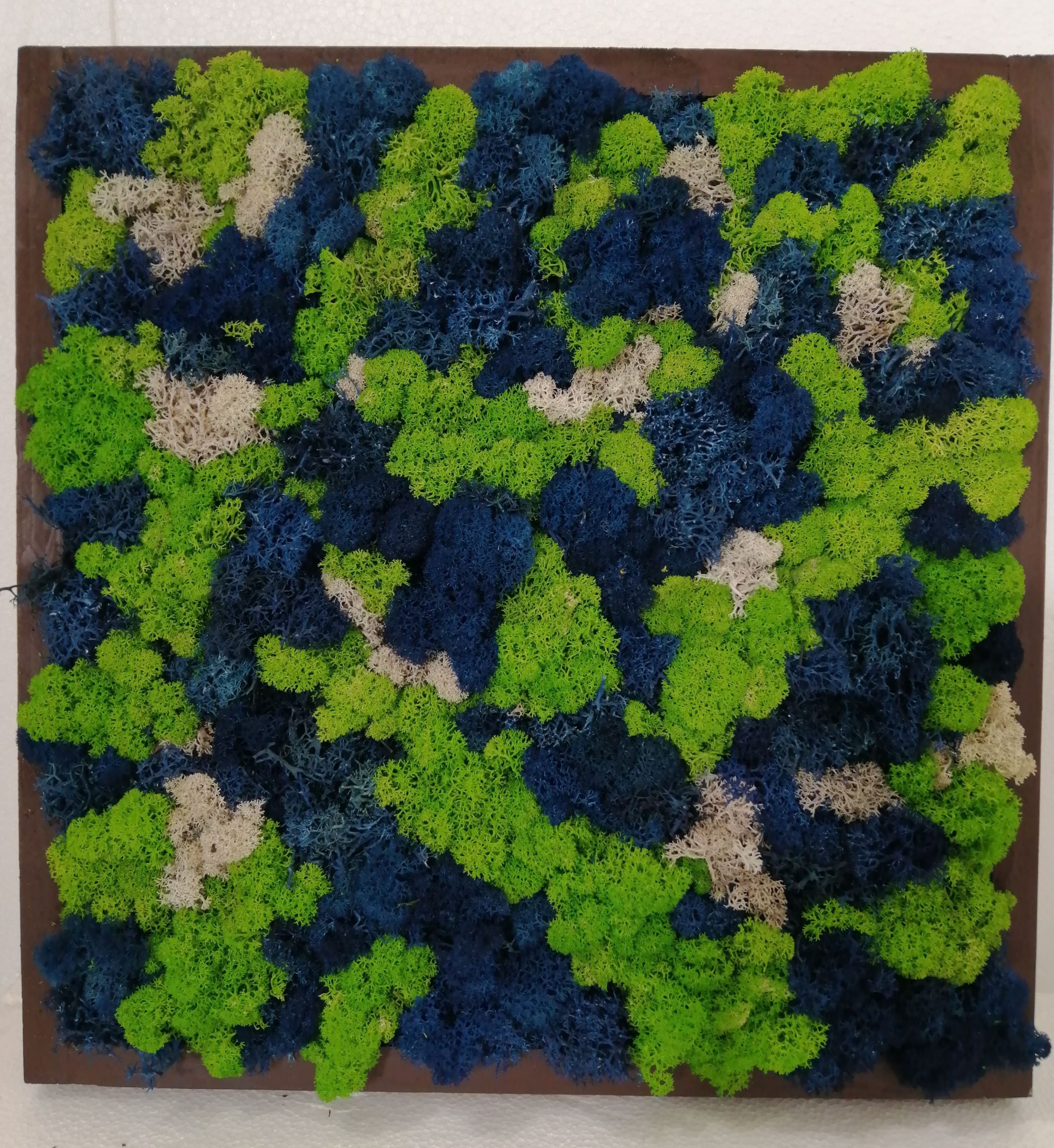 Quadro Lichene mix