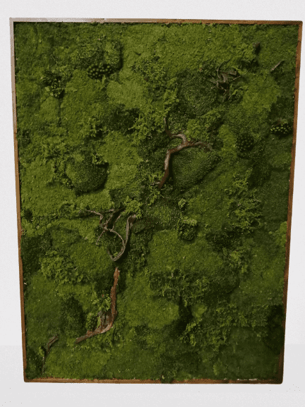 Maxi quadro verde stabilizzato