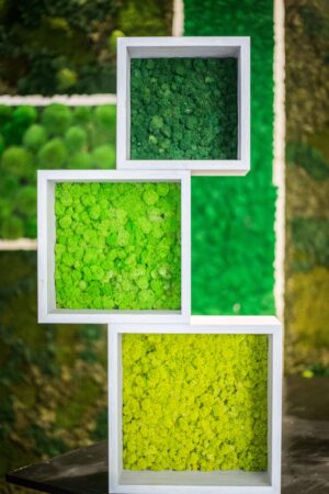 Quadri portaoggetti con verde stabilizzato