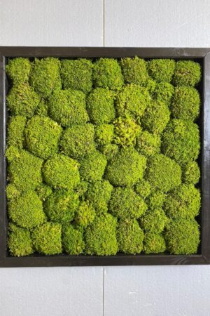 Quadro muschio roccioso