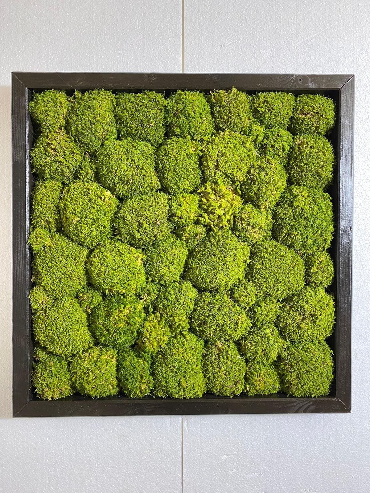 Quadro muschio roccioso