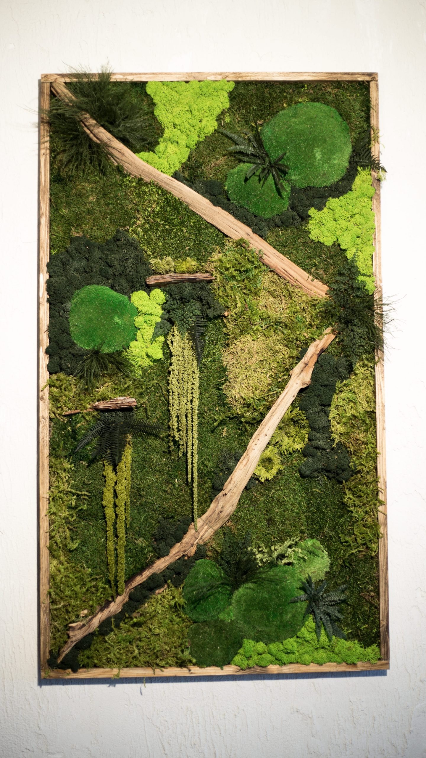 Quadro verde stabilizzato mix