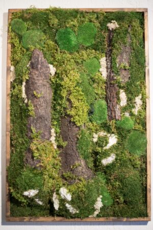Quadro tronchi e verde stabilizzato