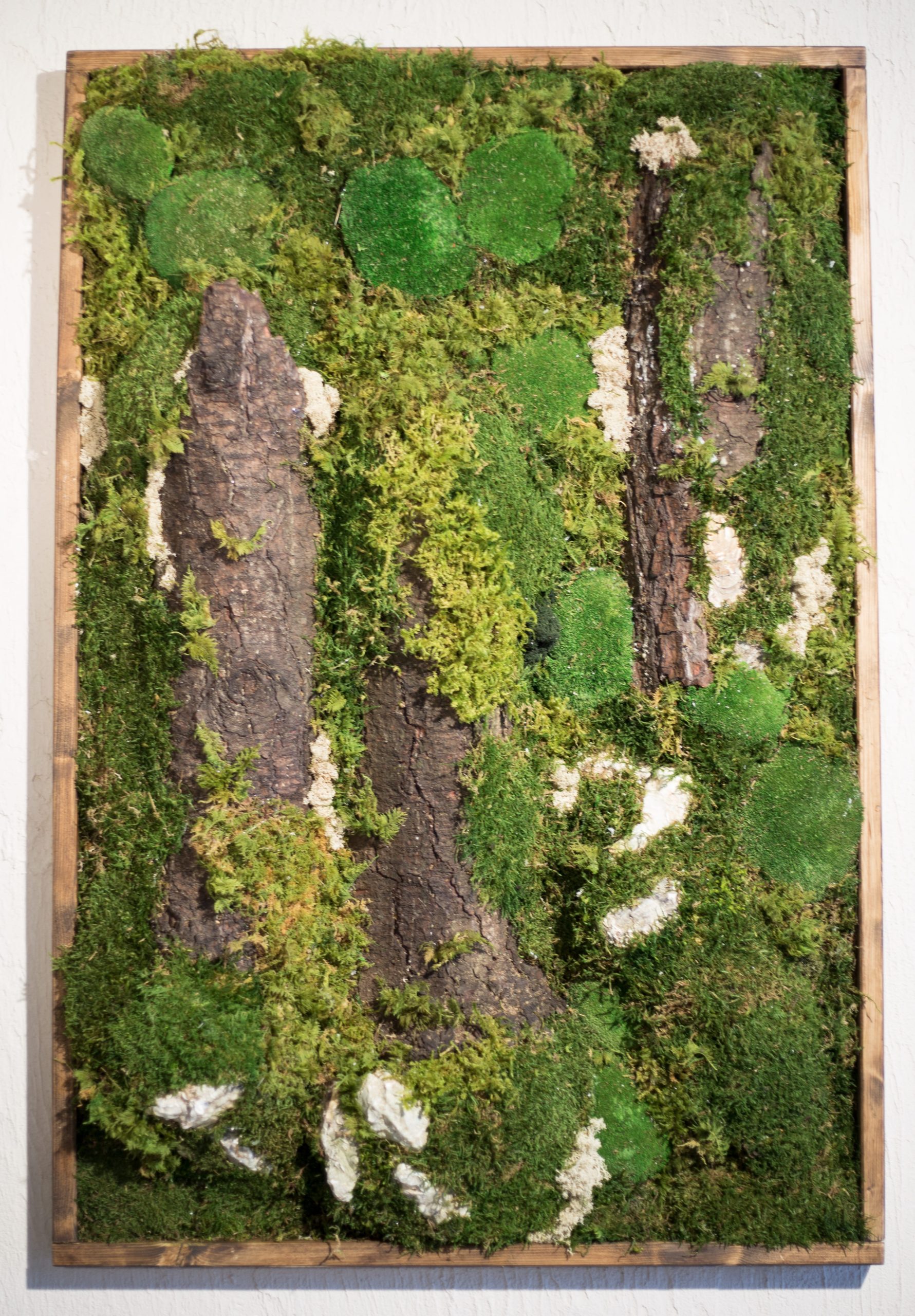 Quadro tronchi e verde stabilizzato