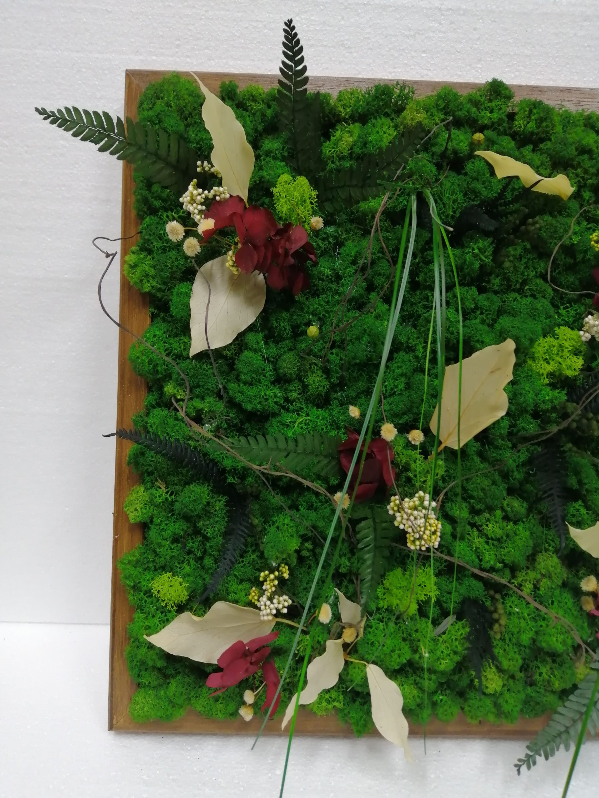 Quadro lichene e fiori stabilizzati - immagine 2