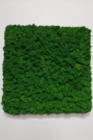 Quadro lichene con cornice nascosta